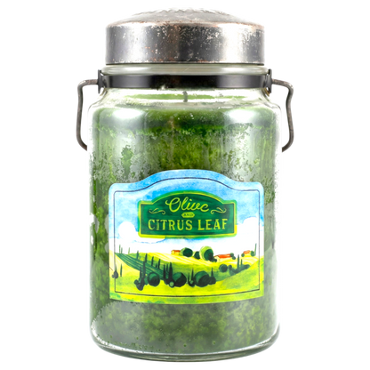 Olive & Citrus Leaf 26 oz Candle