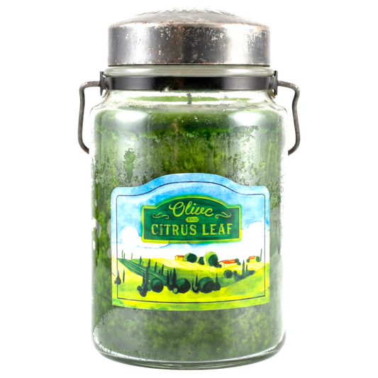 Olive & Citrus Leaf 26 oz Candle