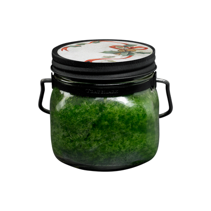 McCall's Mason 16oz-CHRISTMAS JINGLE
