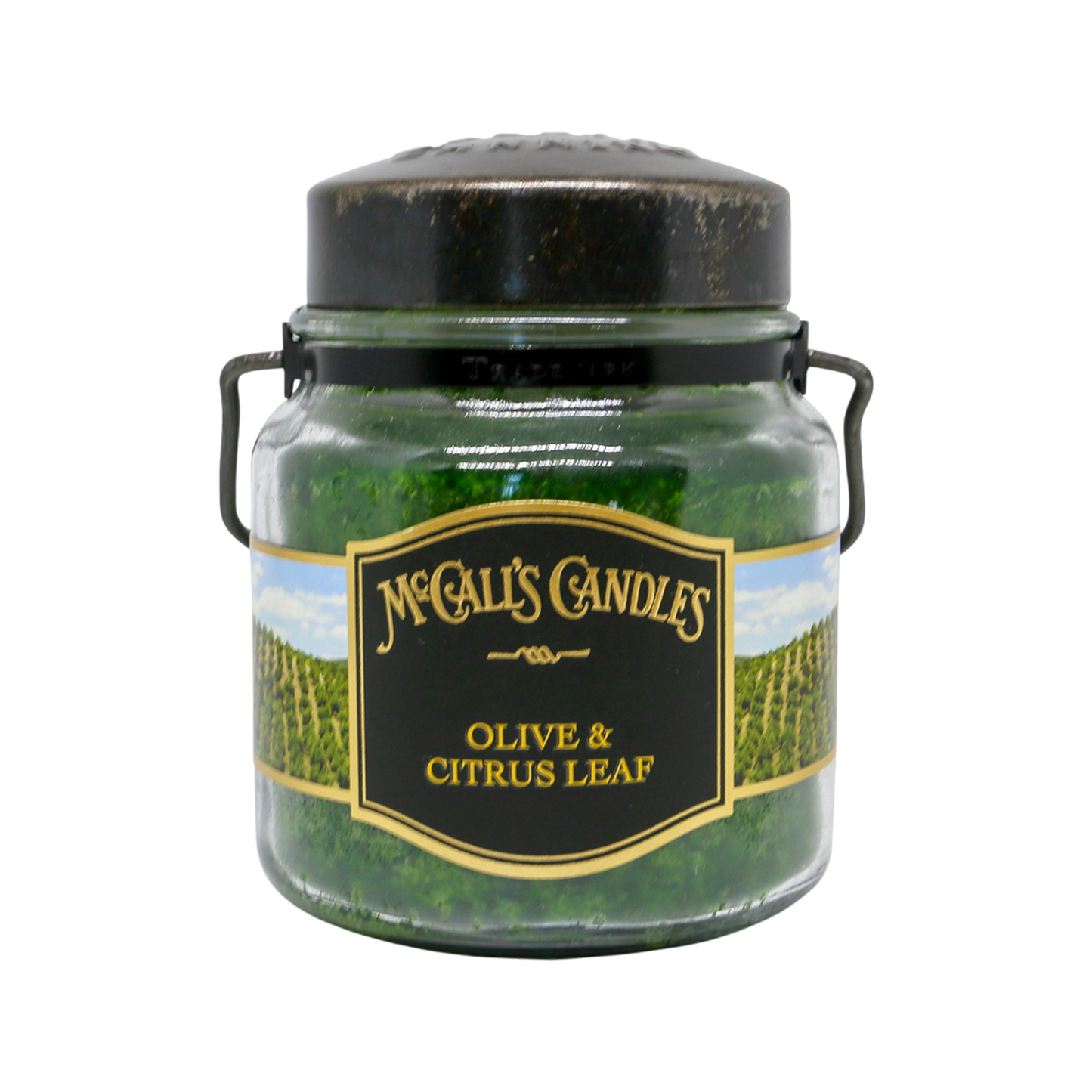 Olive & Citrus Leaf 16 oz Double Wick Candle