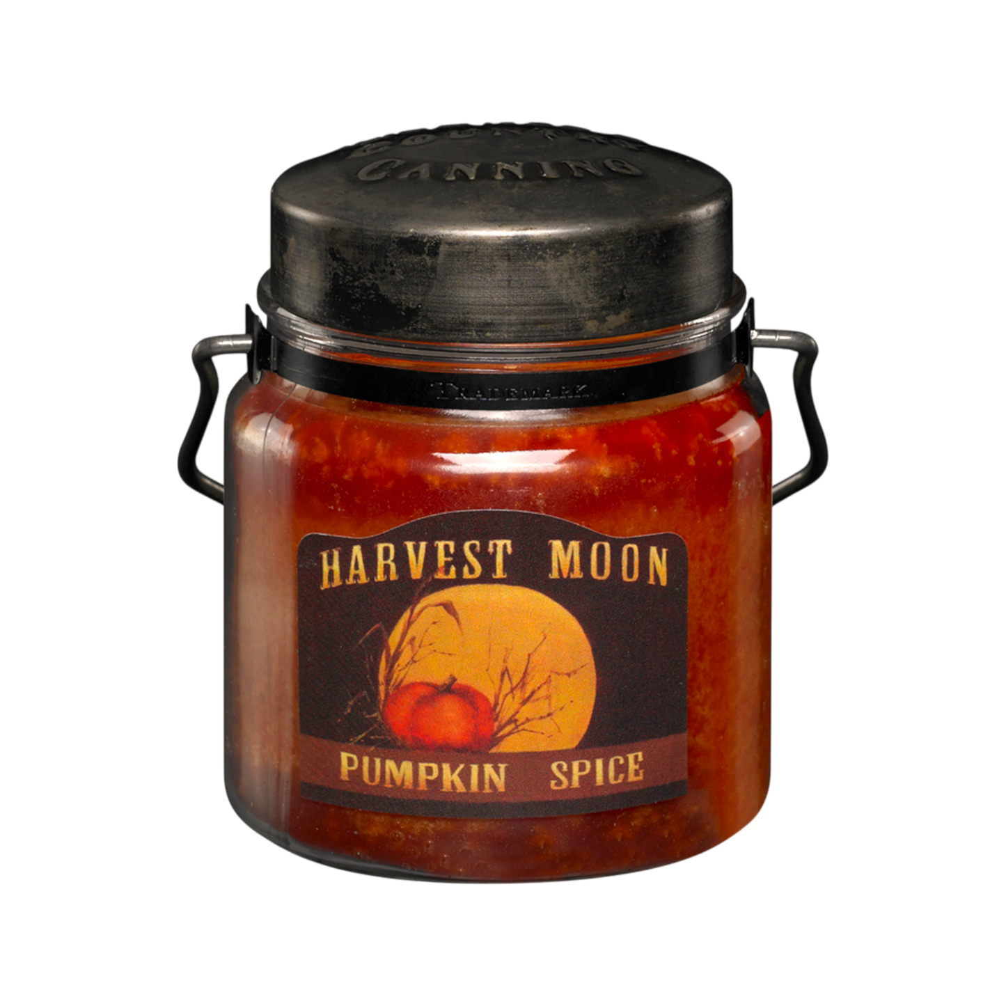 Pumpkin Spice 16 oz Candle