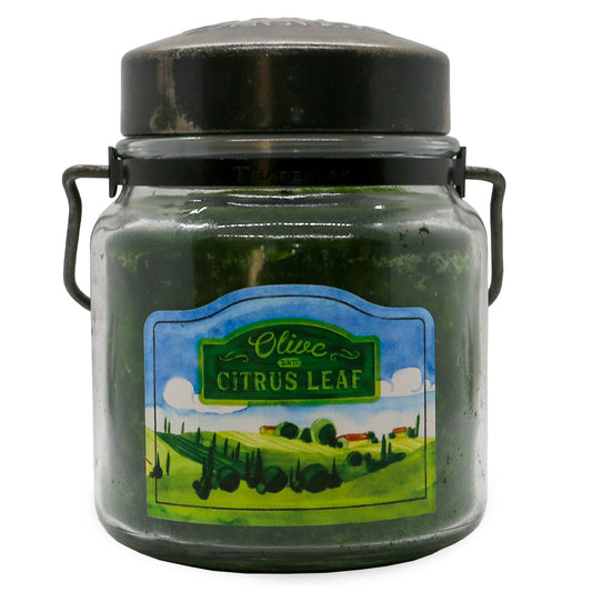 Olive & Citrus Leaf – 16 oz Candle